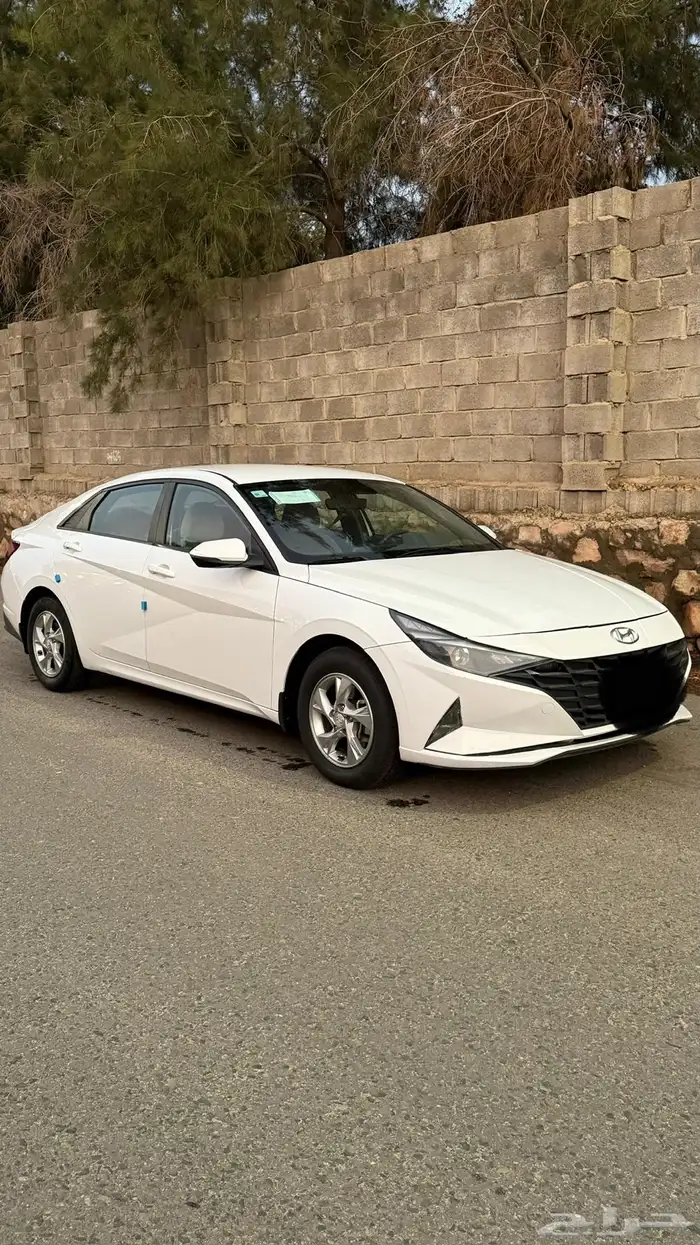 النترا م 2022 0