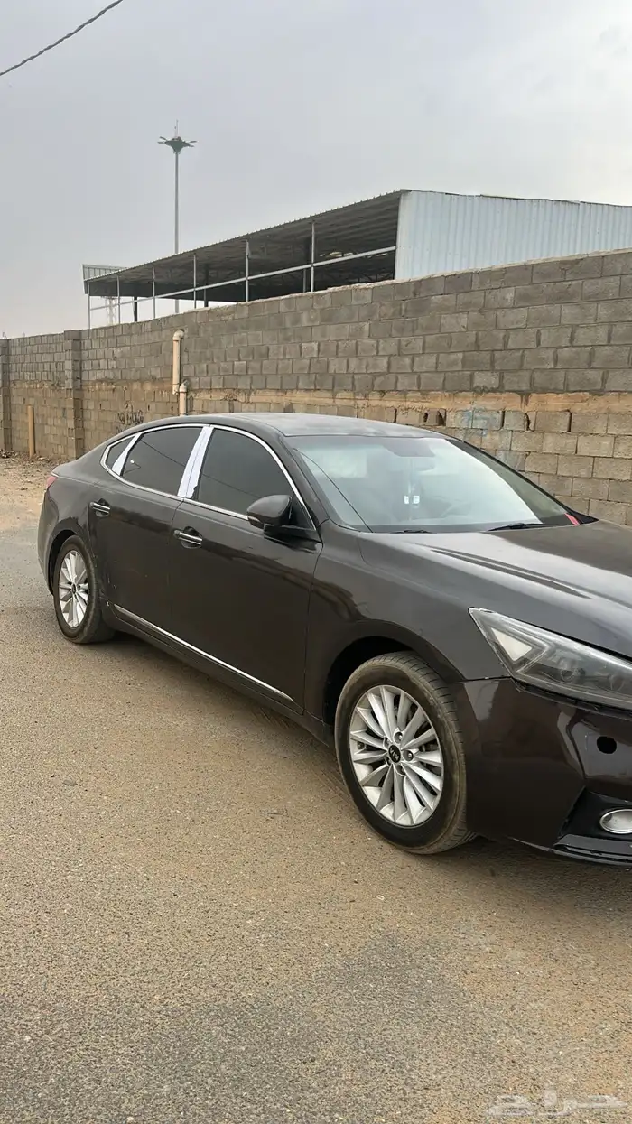 كادينزا للبيع 2