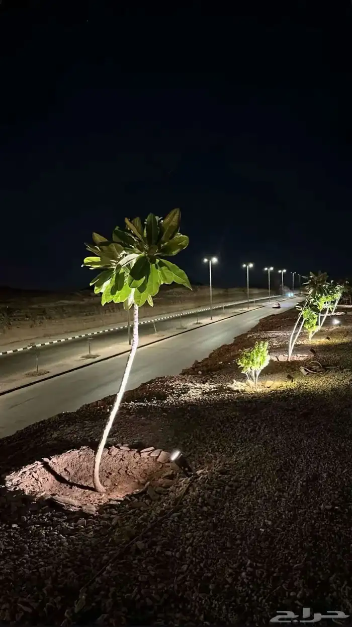 ترك مع معداتها و موقعها جاهز للبيع 17