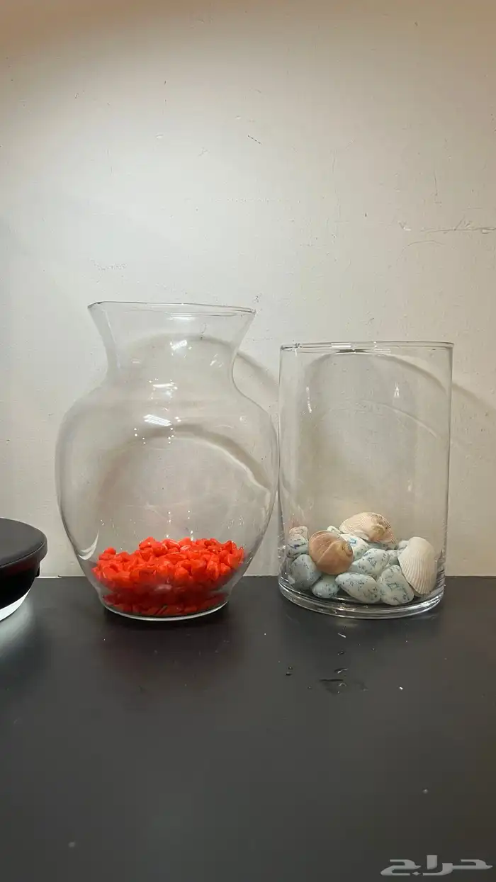 سمكة الفايتر 2