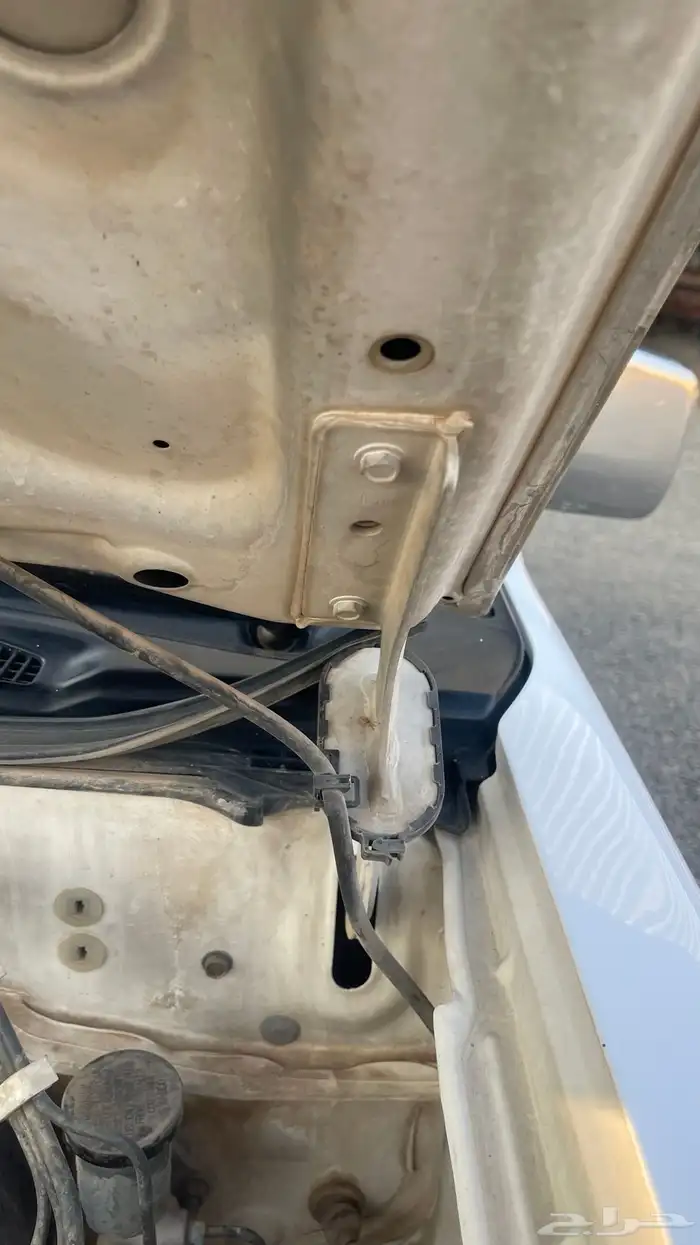 ددسن غماره 2010 8