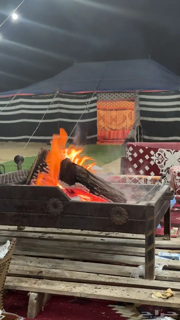 حطب قرض افريقي درجة أولى 10