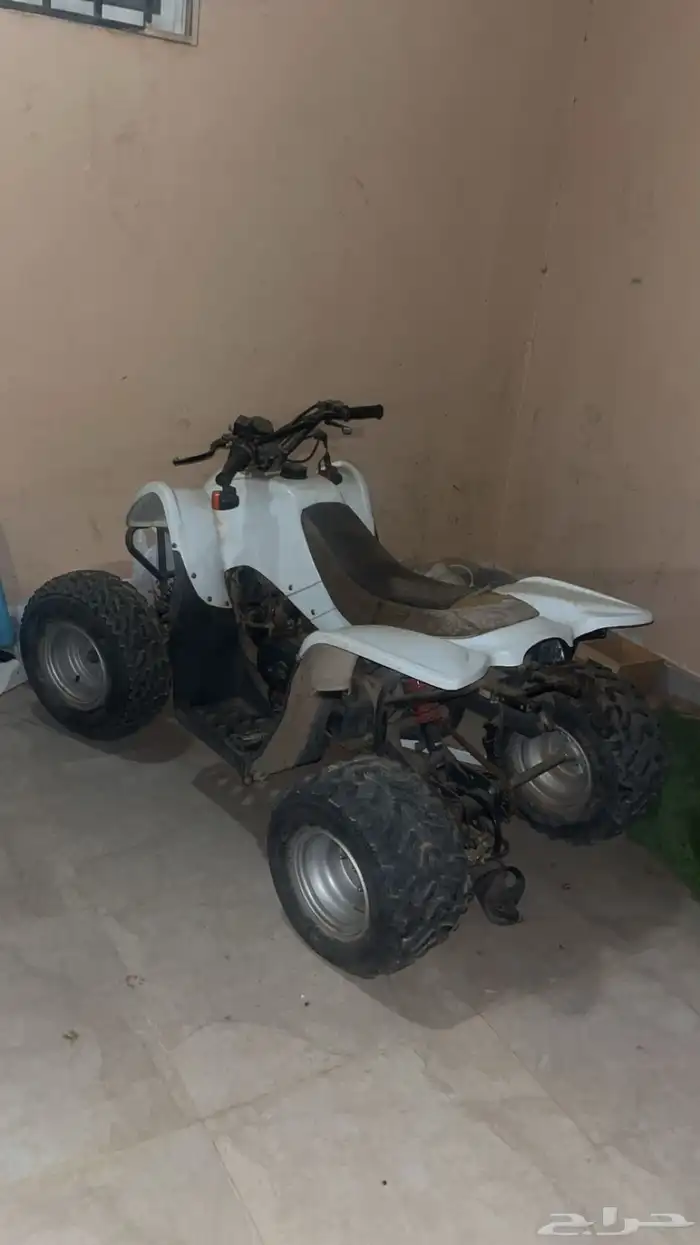 دباب تايون مقاس 100 1