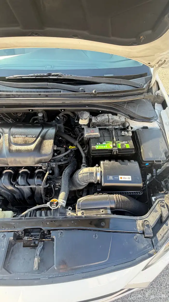 النتراء 2017 للبيع 12