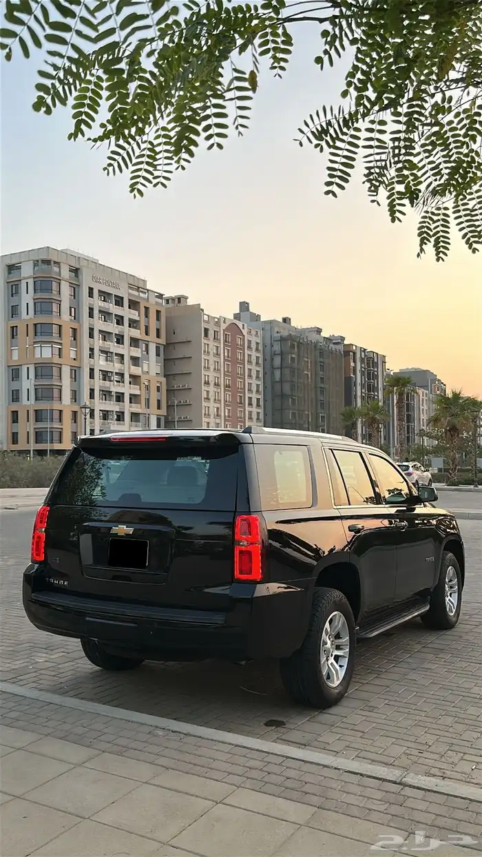 تاهو LS 2019 بودي وكالة 3