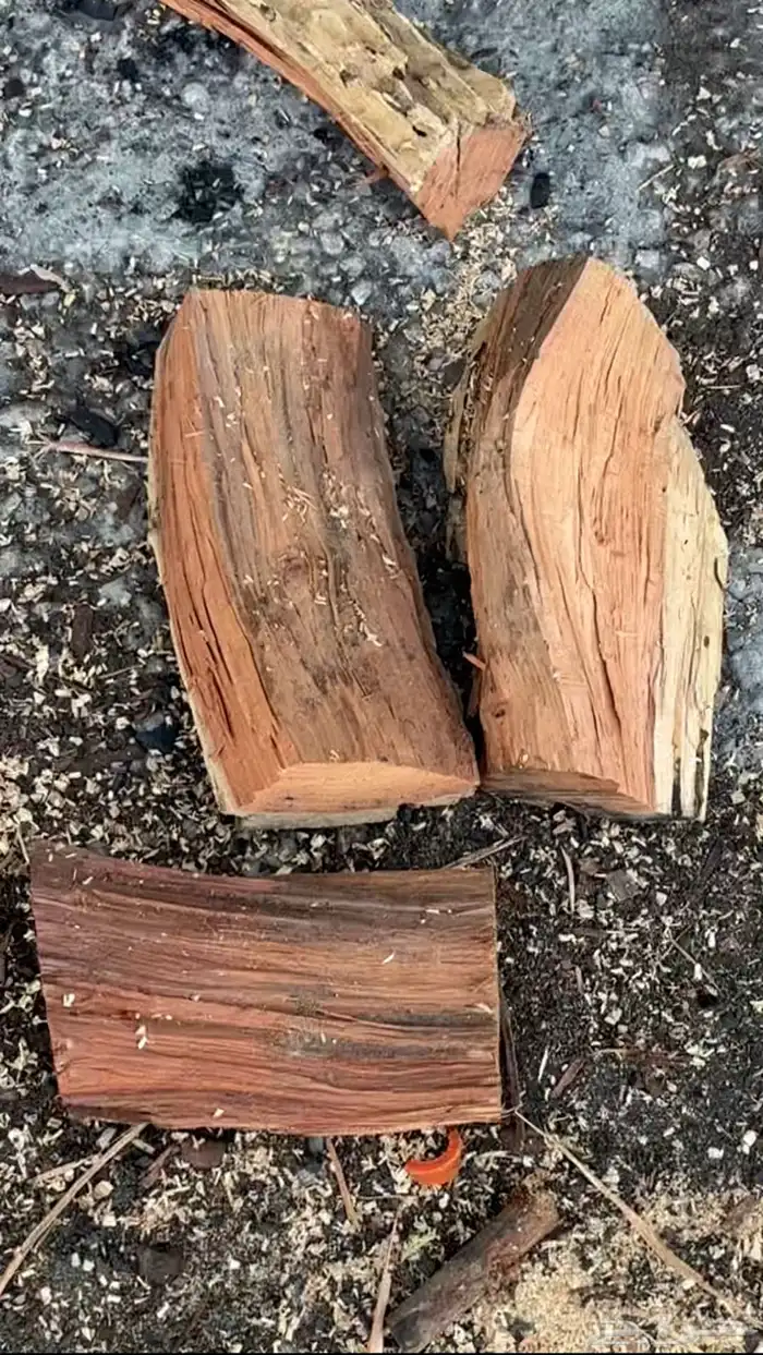 حطب قرض افريقي درجة أولى 1