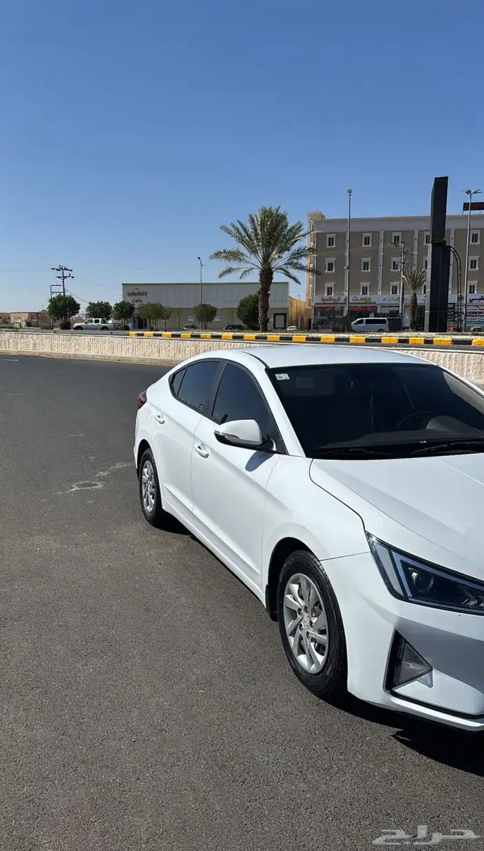 النتراء 2019 1