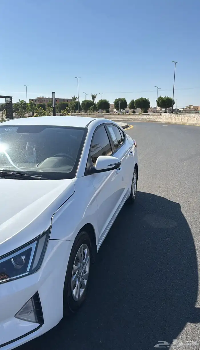 النتراء 2019 3