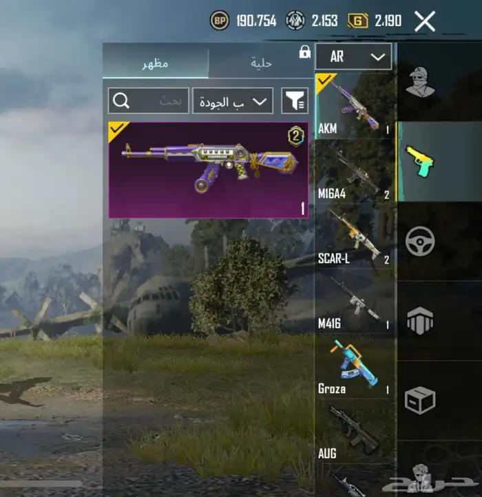 حساب ببجي للبيع 23