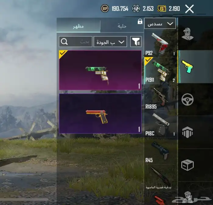 حساب ببجي للبيع 30