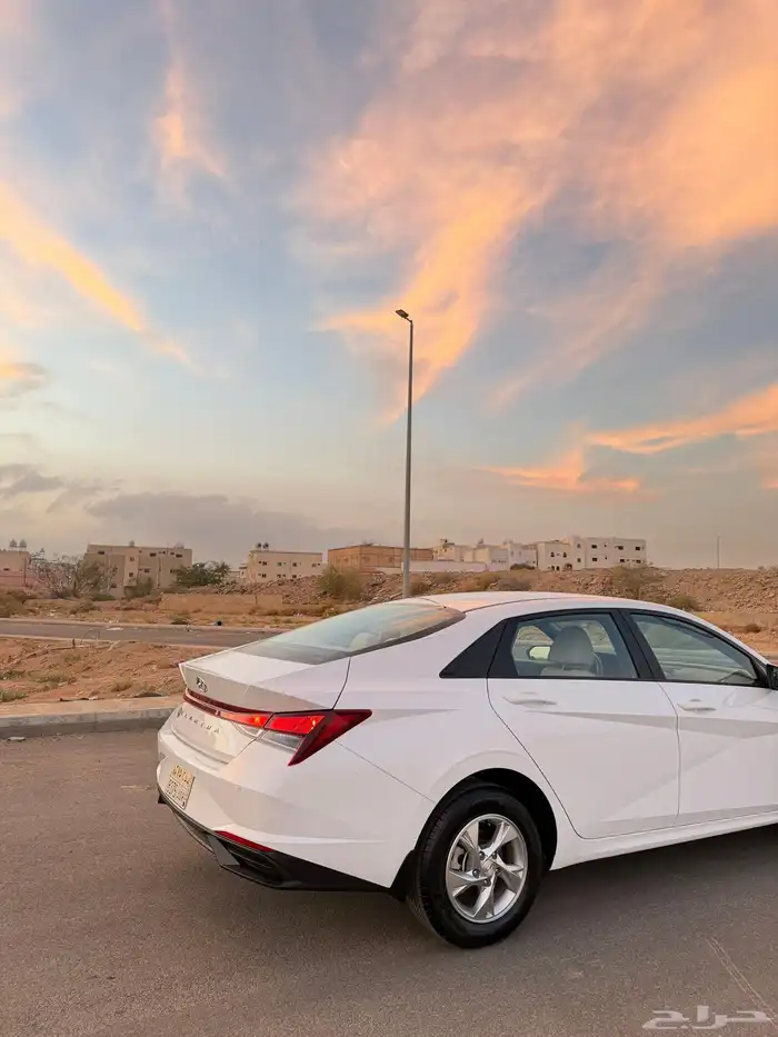 النترا 2023 سعودي الوعلان 2