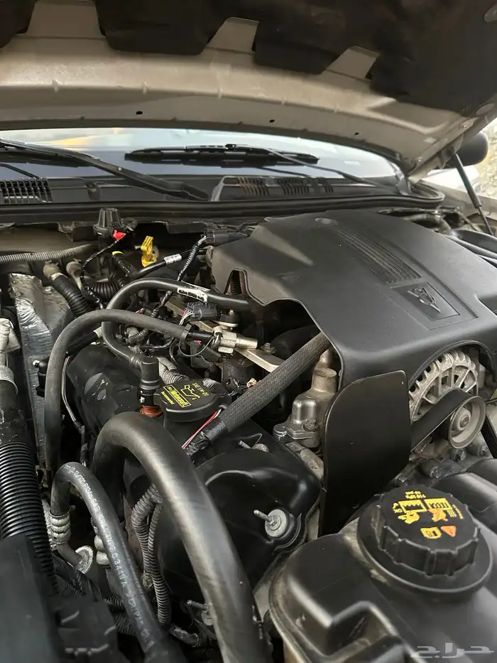 فوردفكتوريا مخزن 31