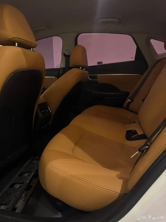 سوناتا (2021) بحالة الوكالة 11