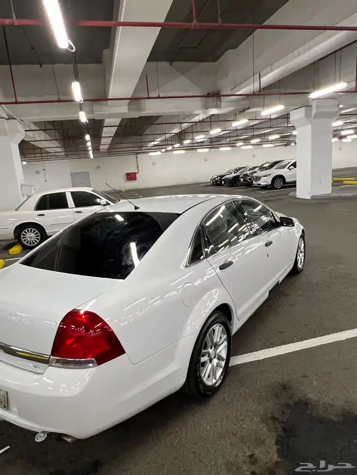 كابرس 2013 LS 10