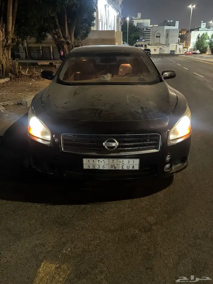 مكسيما 2010 للبيع 4