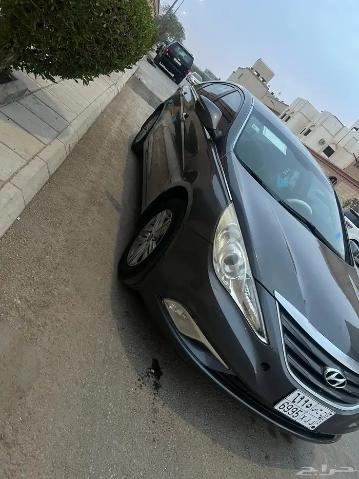 سونتاء 2014 15