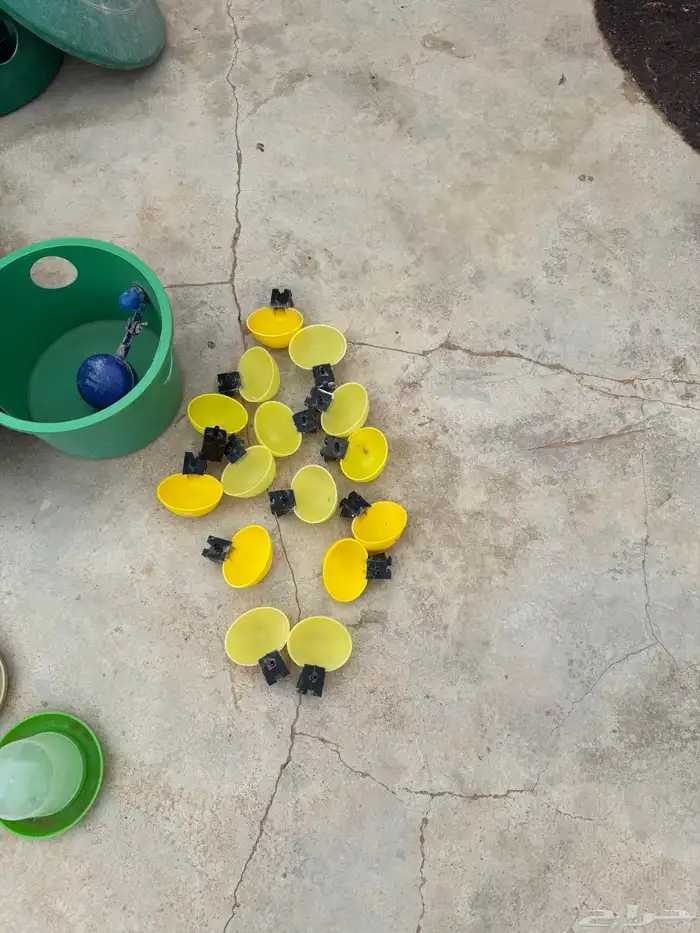 عياشات وعوامات وشبوك 4