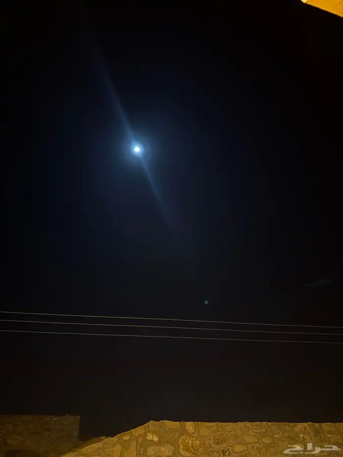 مطلوب عدد 4 شقق 1