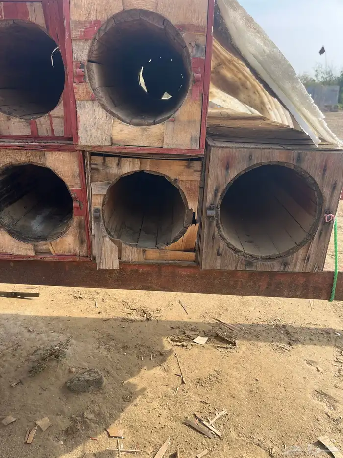 جبوح نحل محايلي فاضي 4