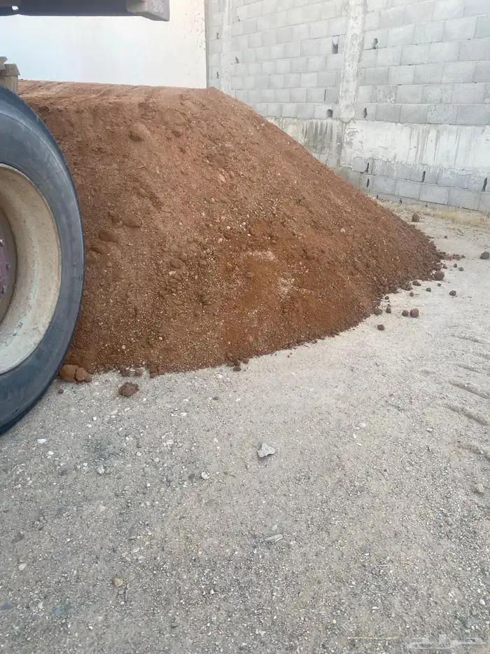 دفان سكس توريد 1