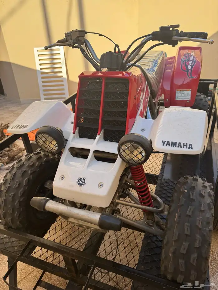 بانشي 2009 اصل بطاقه جمركية 3