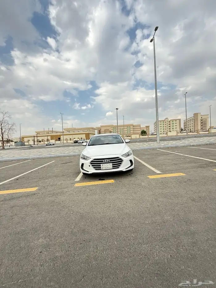 النترا 2017 13