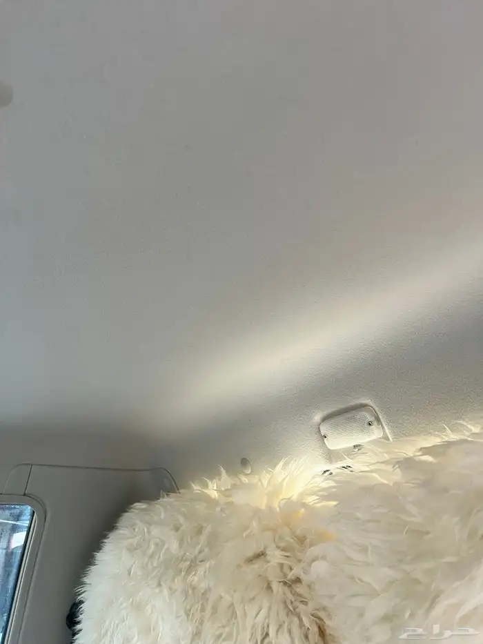 شاص 2016بريمي مشرووط 31