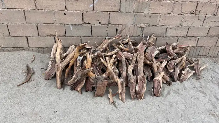 حطب مستورد يابس 0