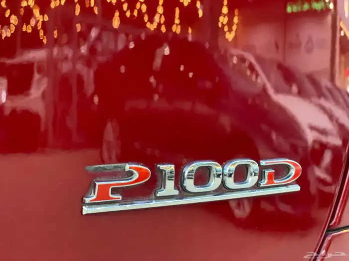 تسلاP100D MODEL X 23