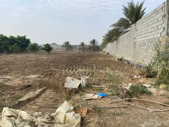 مزرعة للإيجار 2