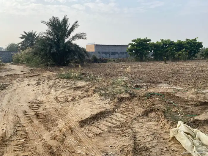 مزرعة للإيجار 1