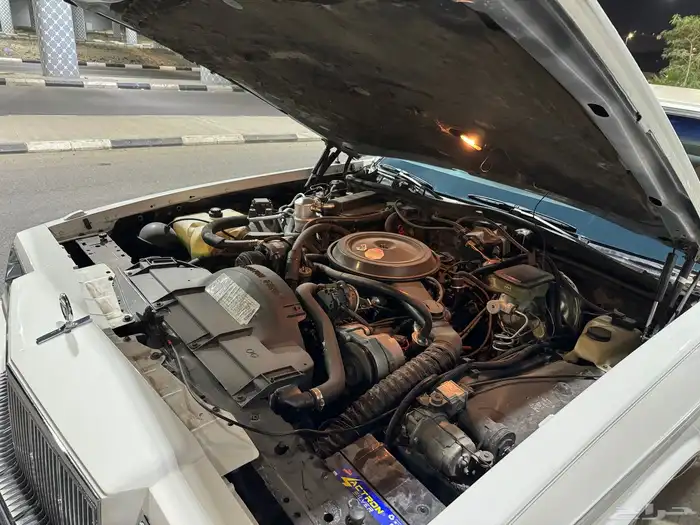 بيوك بارك افنيو مخزن 58