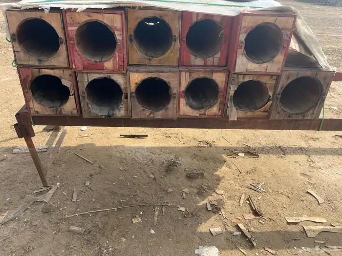 جبوح نحل محايلي فاضي 1