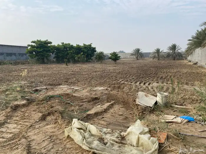 مزرعة للإيجار 3