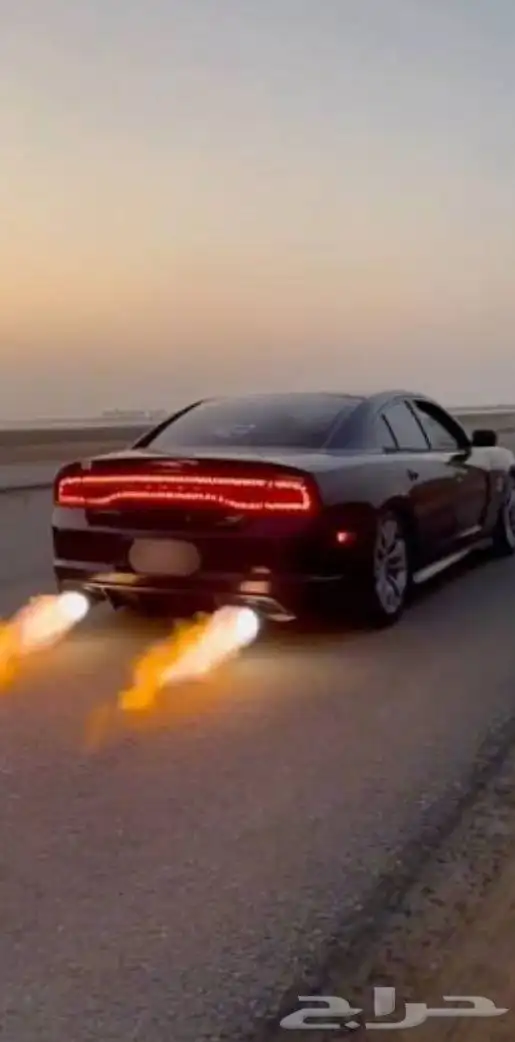 برمجة اقل سعر (ضمان ذهبي) 0