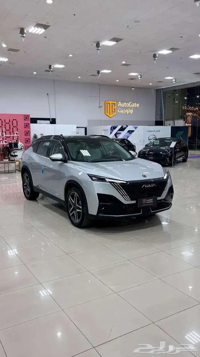 دونج فينج 2026 ماجي اي 0