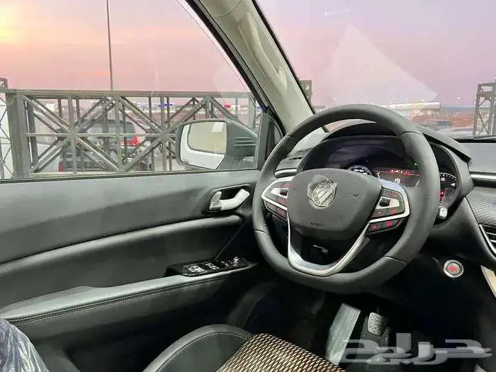 فوتون تونلاند بيك اب غمارتين ديزل موديل 2024 8