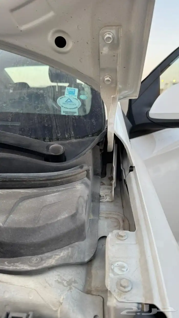 أكسنت 2020 شرط ماشاءالله 23