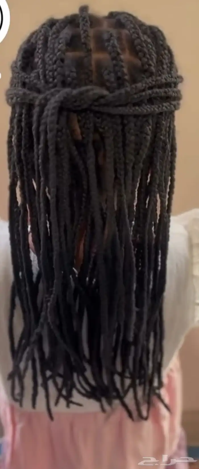 ظفاير افريقيه بتبوك 5