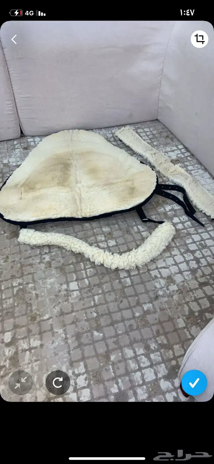 لباده حقت حصان شباه جديده. اول. مره اركبه علا الحصان 1