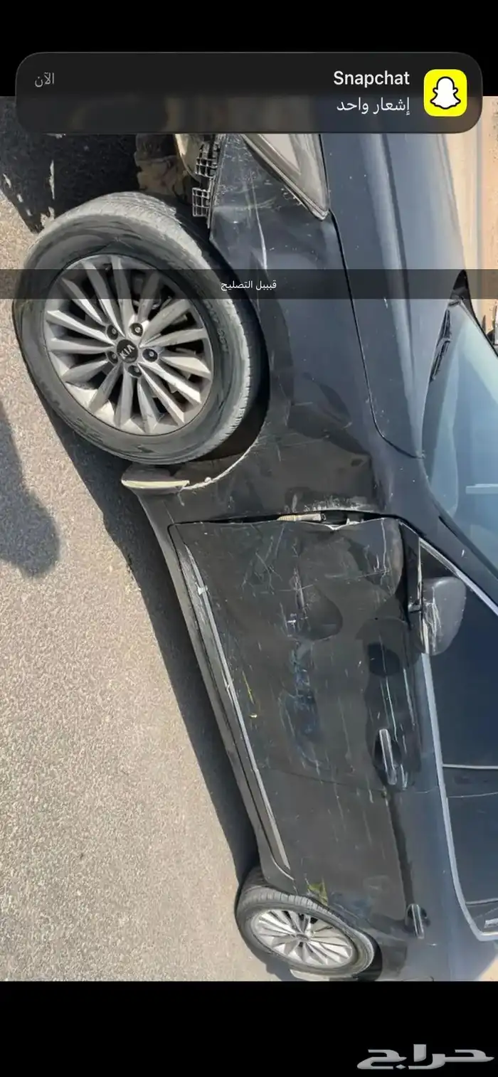 كادينزا 2018 4