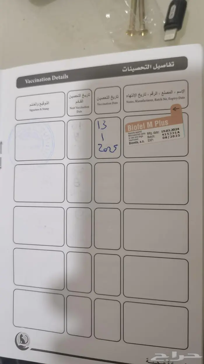 كلب للبيع بكنيز ع السووم 4