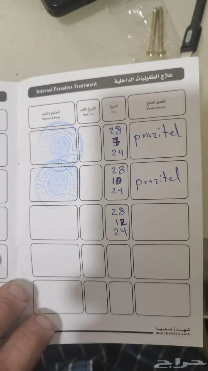 كلب للبيع بكنيز ع السووم 7