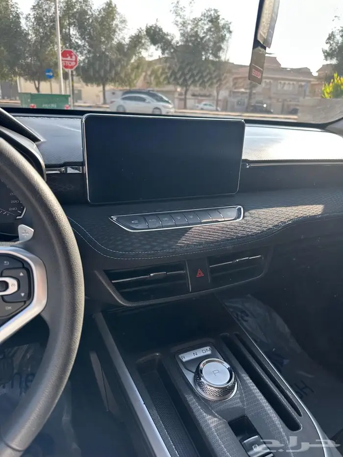 للبيع هافانا جوليان 2024 8