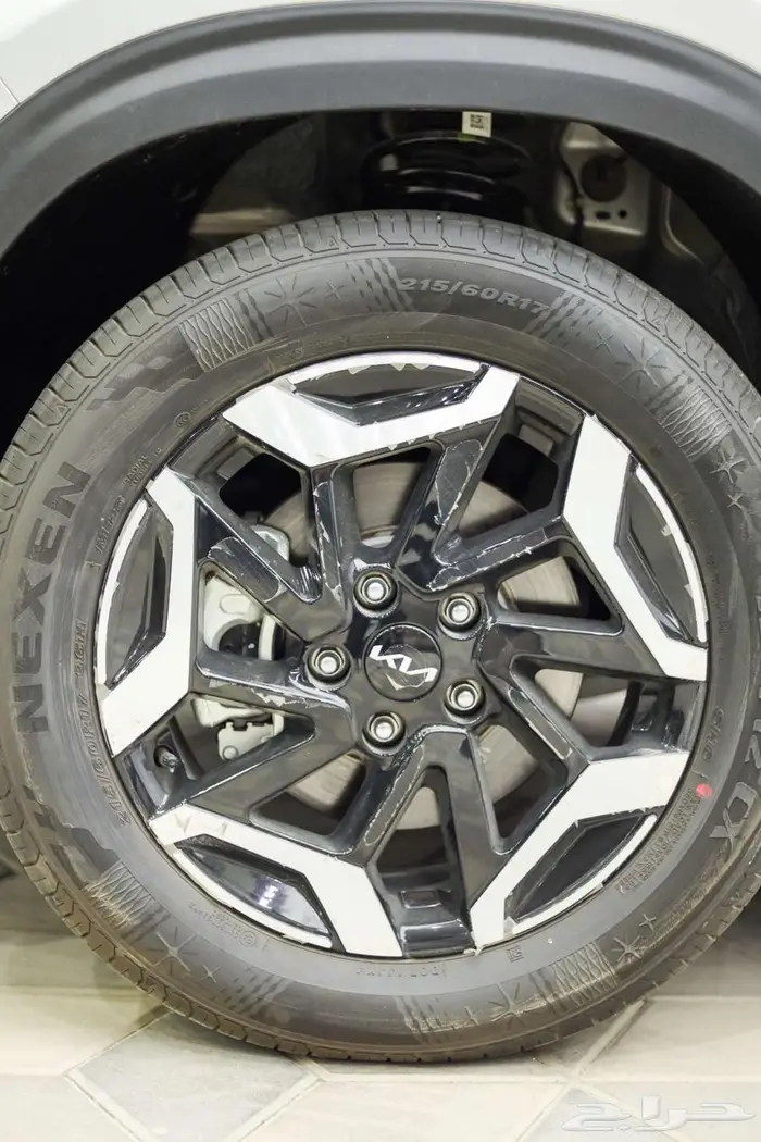 سيلتوس نص فل2025 13