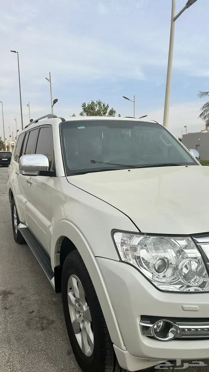 باجيرو 2020 17