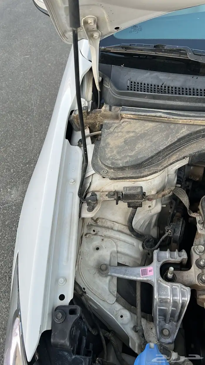 النترا 2017 وكالة 10