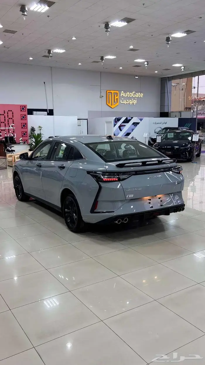 دونج فينج شاين E12026 رمادي 10