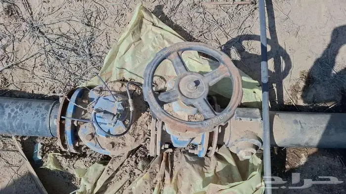 محبس 6 بوصه اسباني 2