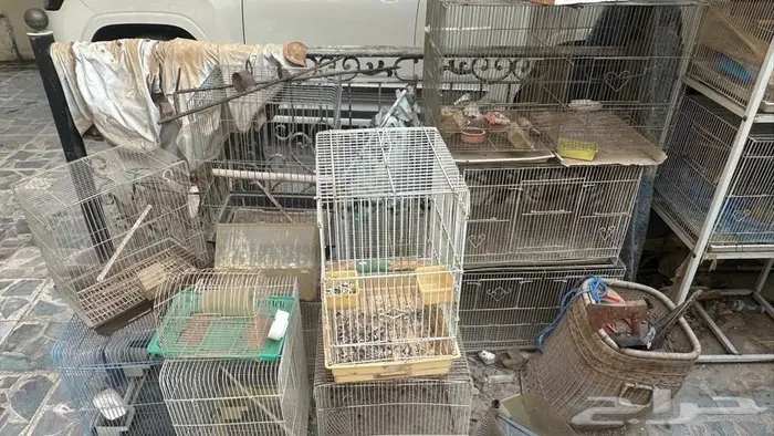 ستاند 601 و اقفاص طيور 3